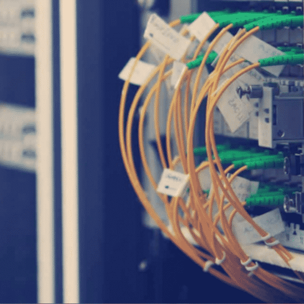 How much do WordPress Web hosting Services cost in NZ?