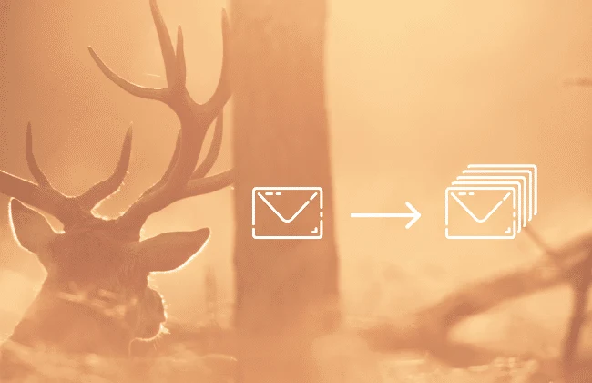 CRM nurturing emails